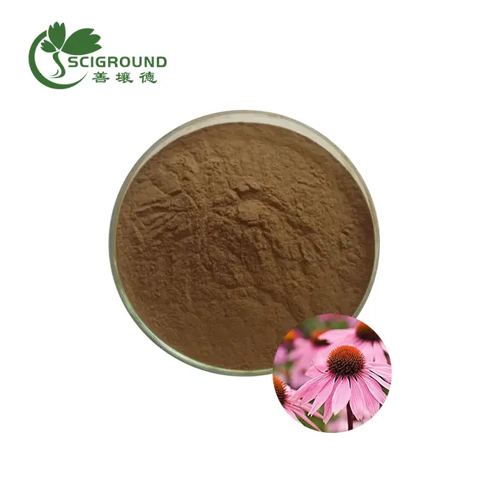 Echinacea Purpurea Extract